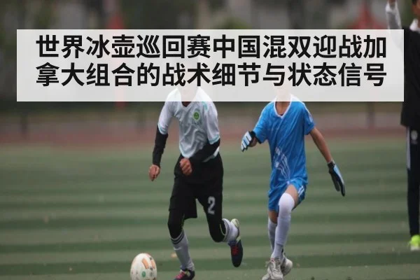 世界冰壶巡回赛中国混双迎战加拿大组合的战术细节与状态信号